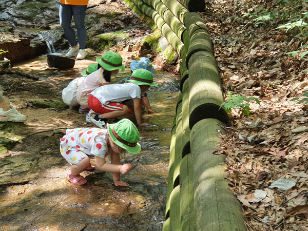 ▲ 작년 오동근린공원 유아숲체험원에서 아이들이 숲체험프로그램에 참여하고 있는 모습.