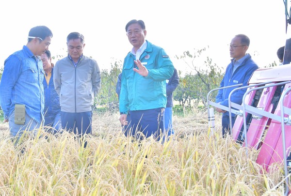 ▲ 북이면 가루쌀 수확 현장을 찾은 김한종 장성군수.