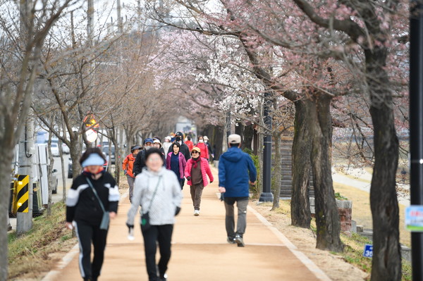 ▲ 서천둔치 벚꽃길을 걷고 있는 시민들 모습.